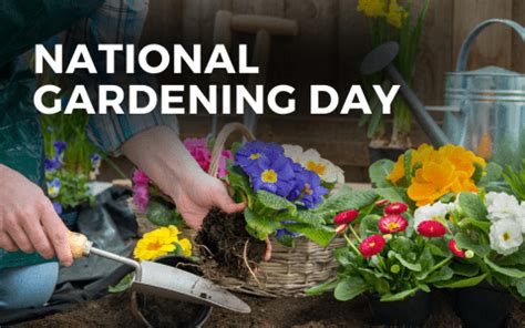 national gardening day 2023|7 Green Gardening Tips to Celebrate National。